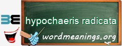 WordMeaning blackboard for hypochaeris radicata